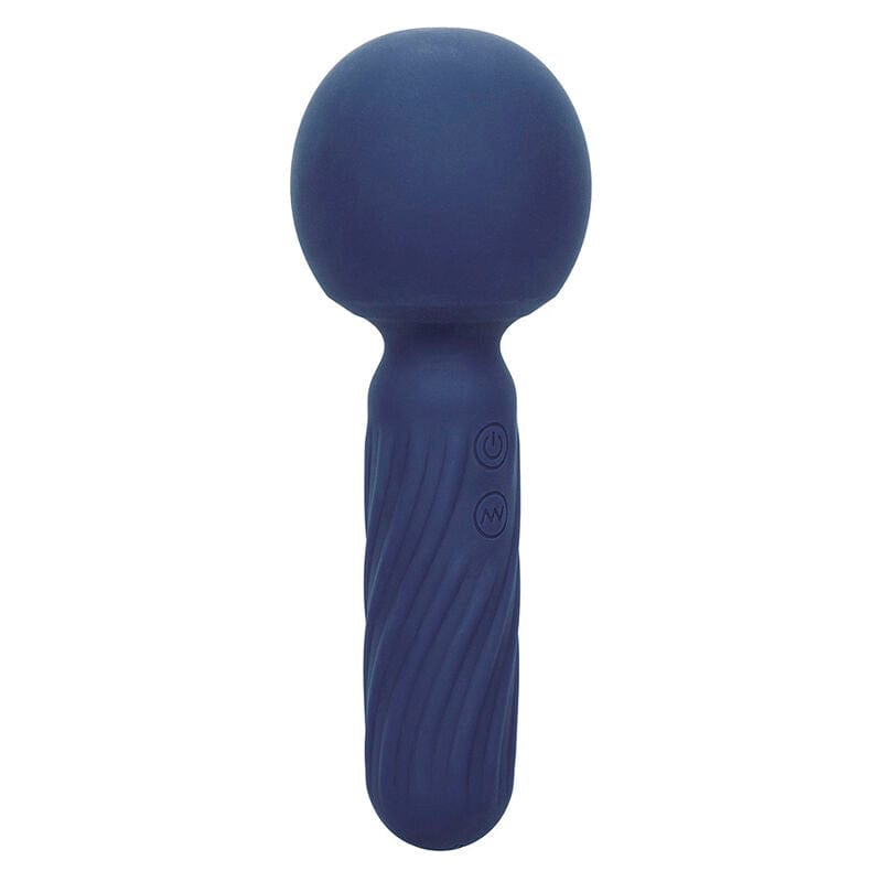 CALEXOTICS CALEXOTICS - CHARISMA SEDUCTION MASSEUR 12 FONCTIONS 17,75 CM X 6,25 CM VIOLET