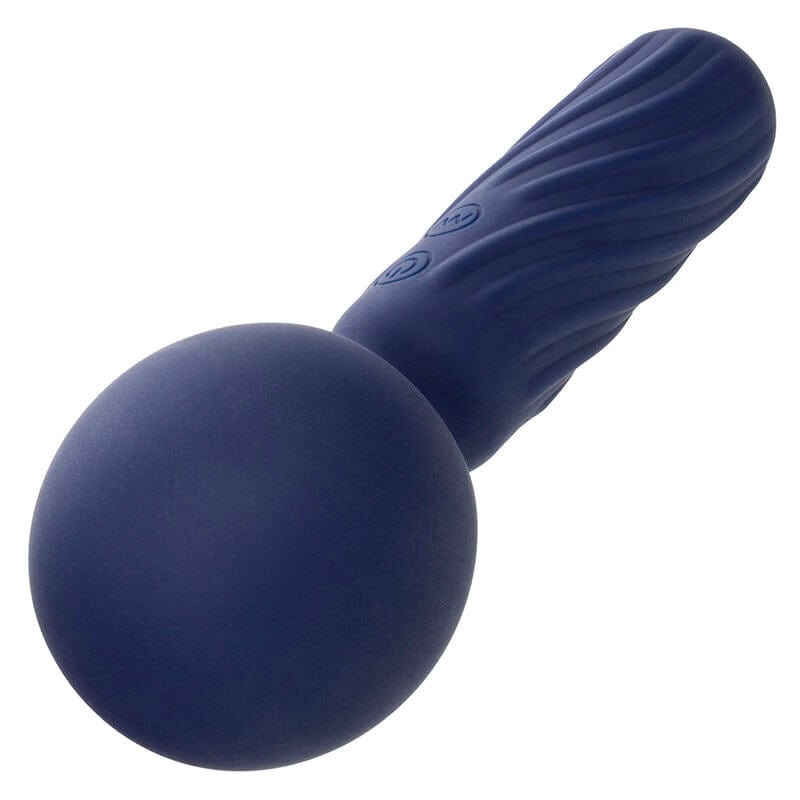 CALEXOTICS CALEXOTICS - CHARISMA SEDUCTION MASSEUR 12 FONCTIONS 17,75 CM X 6,25 CM VIOLET