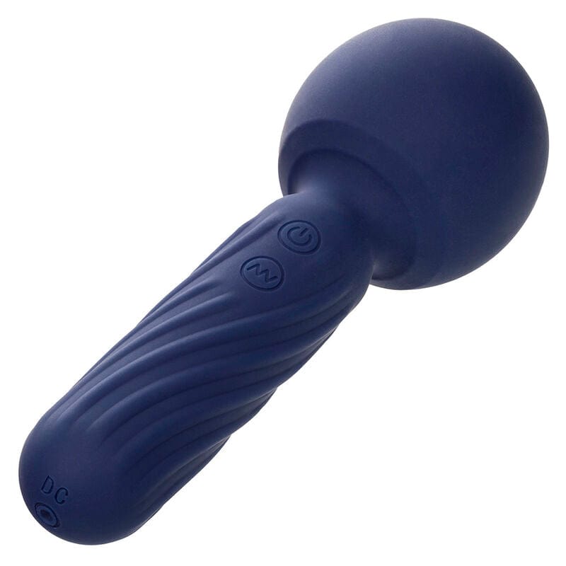 CALEXOTICS CALEXOTICS - CHARISMA SEDUCTION MASSEUR 12 FONCTIONS 17,75 CM X 6,25 CM VIOLET