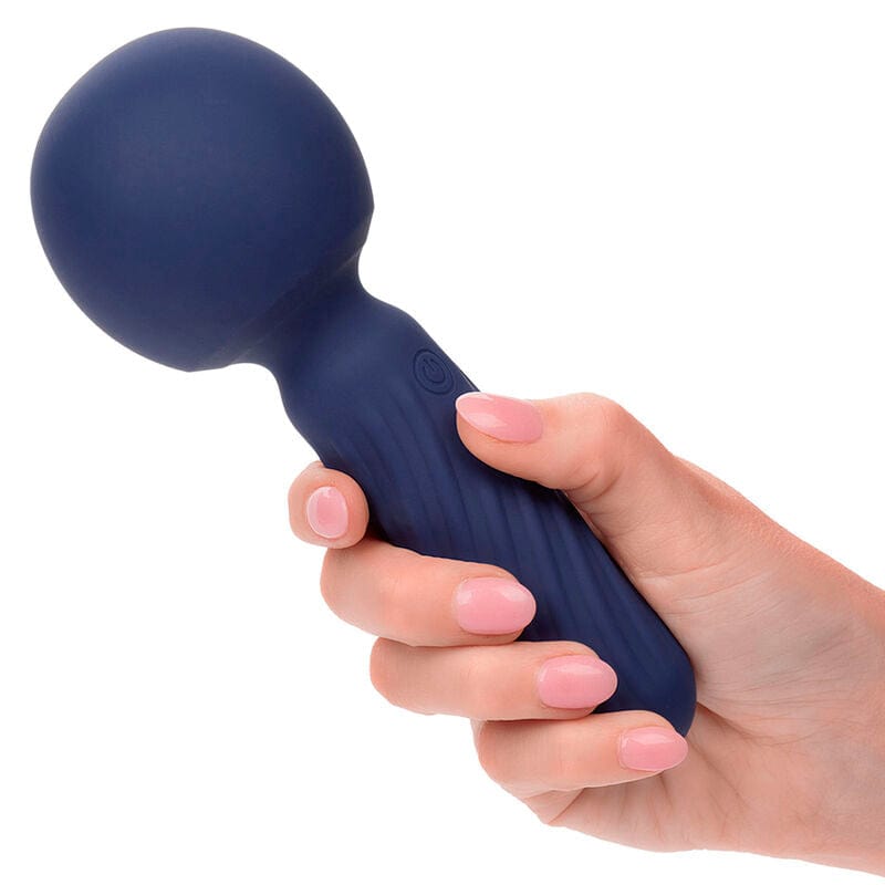 CALEXOTICS CALEXOTICS - CHARISMA SEDUCTION MASSEUR 12 FONCTIONS 17,75 CM X 6,25 CM VIOLET