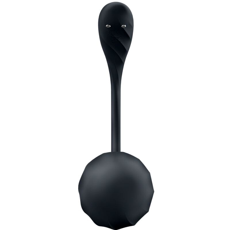 SATISFYER PARTNER SATISFYER - RIBBED PETAL TÉLÉCOMMANDE DE STIMULATEUR DE POINT G NOIR APPLICATION GRATUITE
