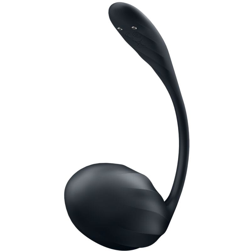 SATISFYER PARTNER SATISFYER - RIBBED PETAL TÉLÉCOMMANDE DE STIMULATEUR DE POINT G NOIR APPLICATION GRATUITE